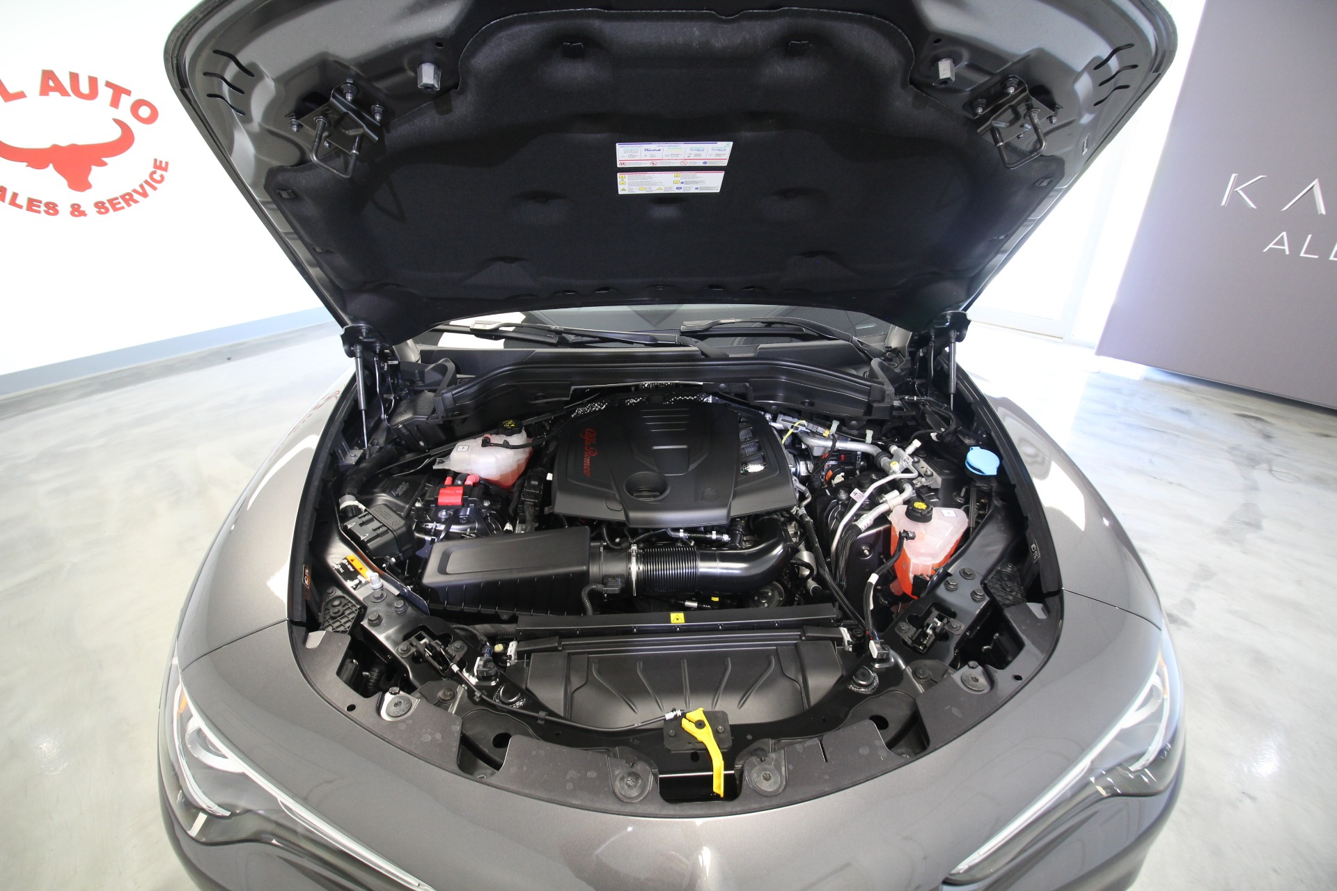 New 2022 Alfa Romeo STELVIO Sprint AWD | St. Petersburg, FL
