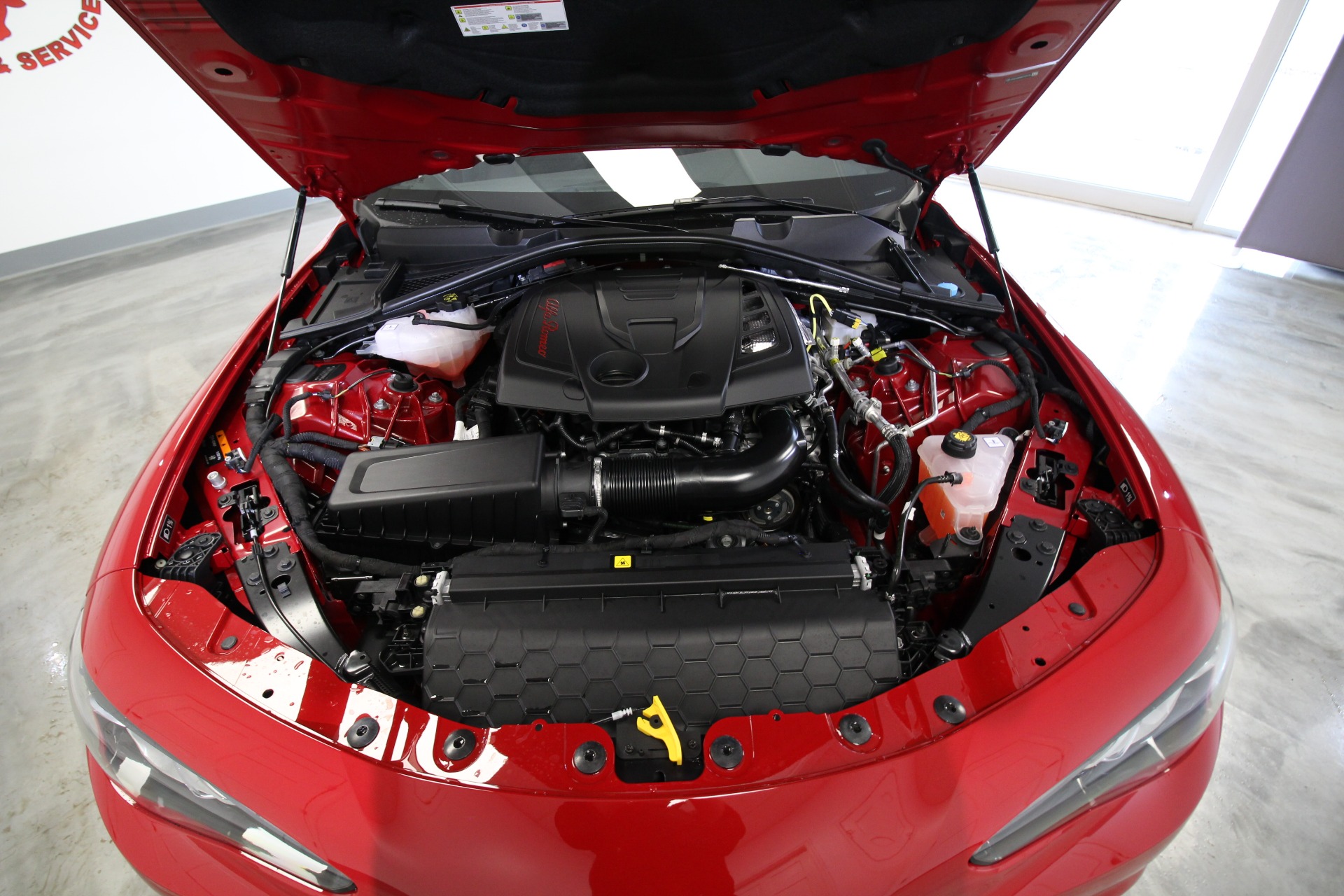 New 2023 Alfa Romeo GIULIA ESTREMA Estrema AWD | St. Petersburg, FL