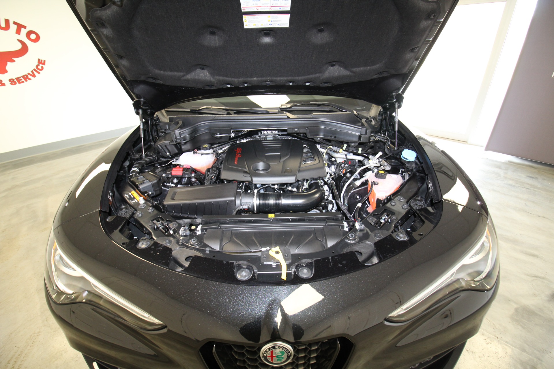 New 2022 Alfa Romeo STELVIO Sprint AWD | St. Petersburg, FL