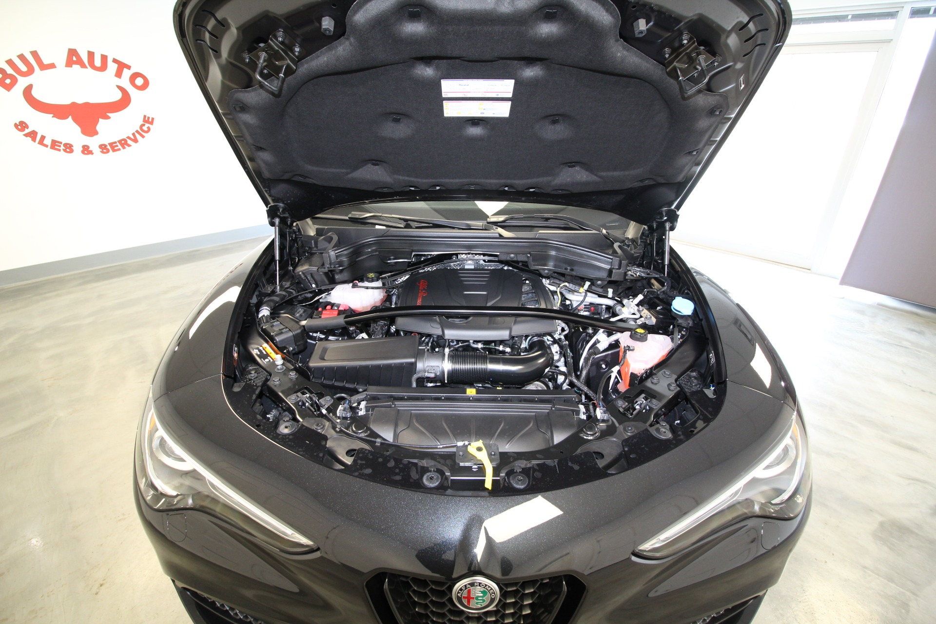 New 2023 Alfa Romeo STELVIO TI Veloce | St. Petersburg, FL