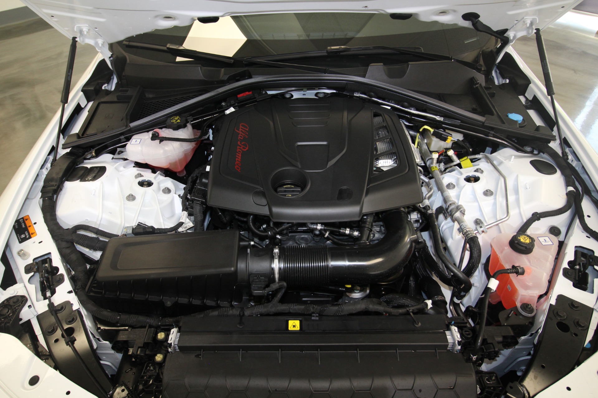 New 2024 Alfa Romeo GIULIA | St. Petersburg, FL