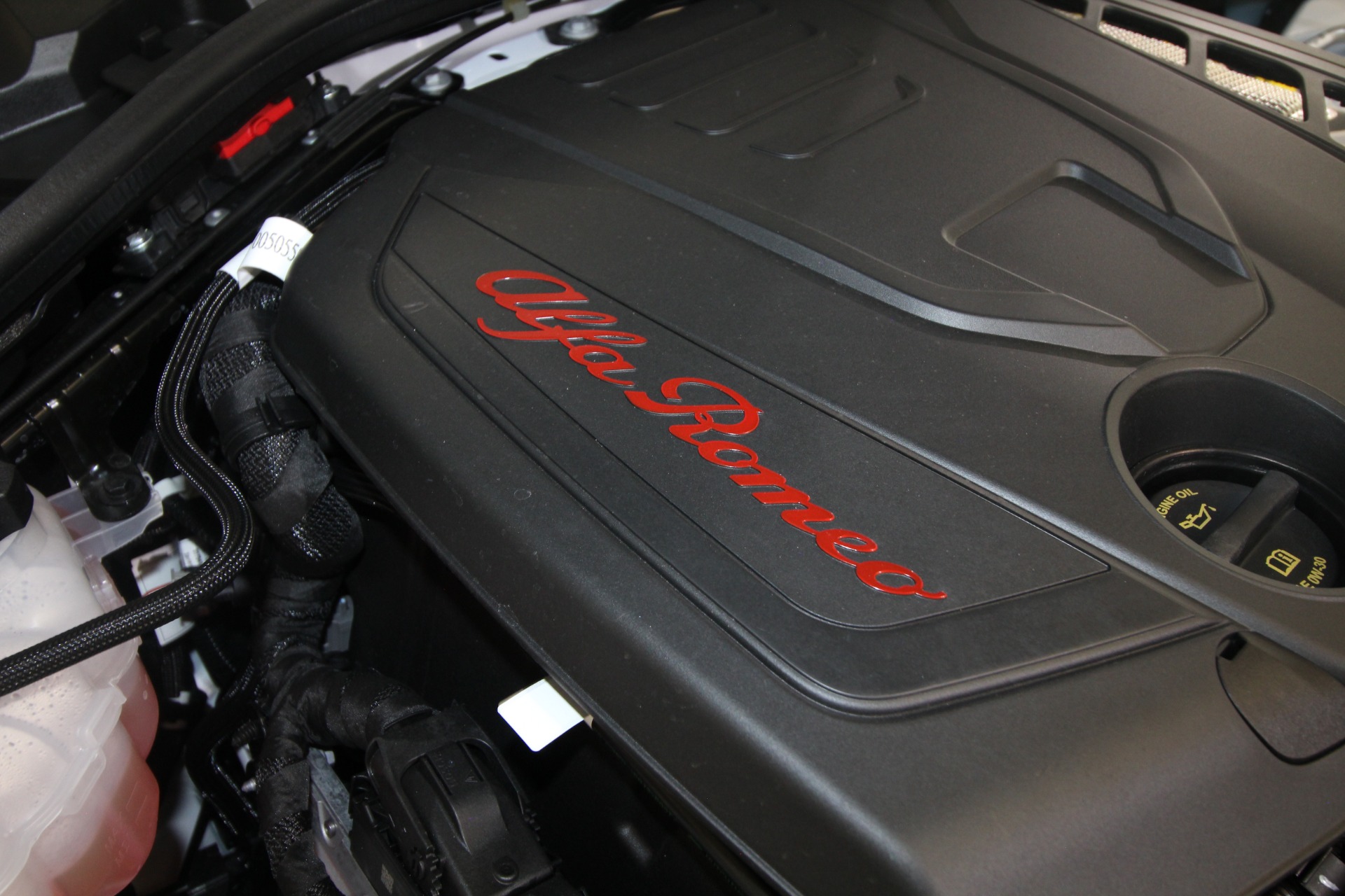 New 2024 Alfa Romeo GIULIA | St. Petersburg, FL