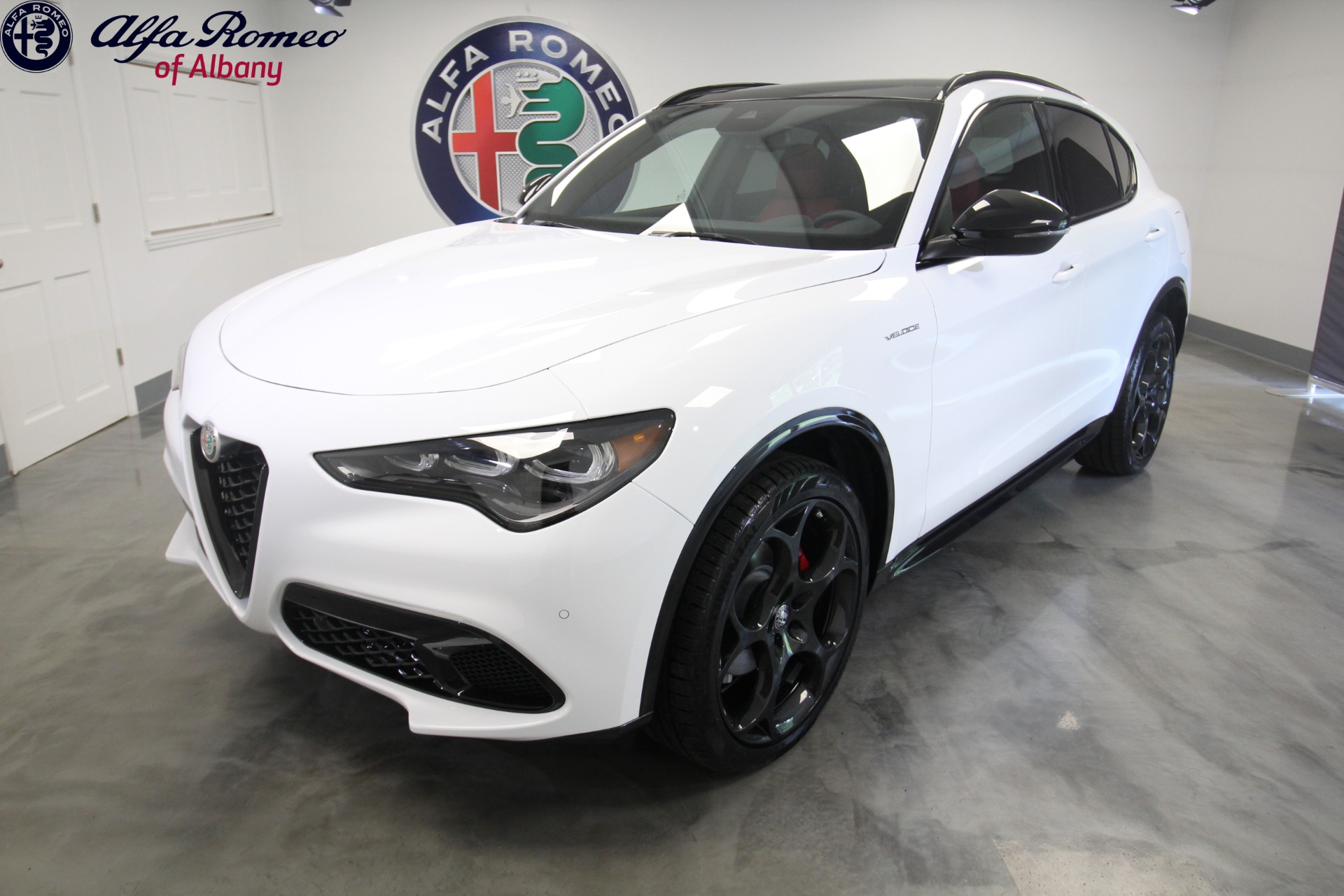 New 2024 Alfa Romeo STELVIO | St. Petersburg, FL