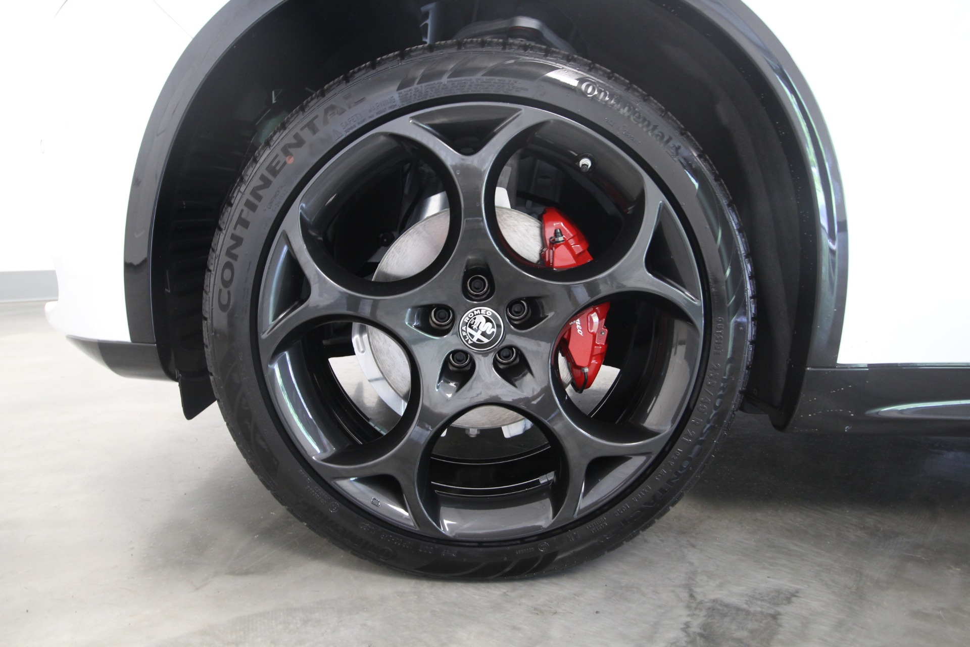 New 2024 Alfa Romeo STELVIO | St. Petersburg, FL