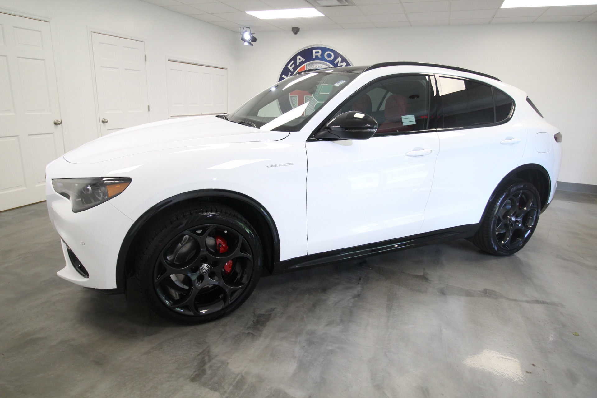 New 2024 Alfa Romeo STELVIO | St. Petersburg, FL