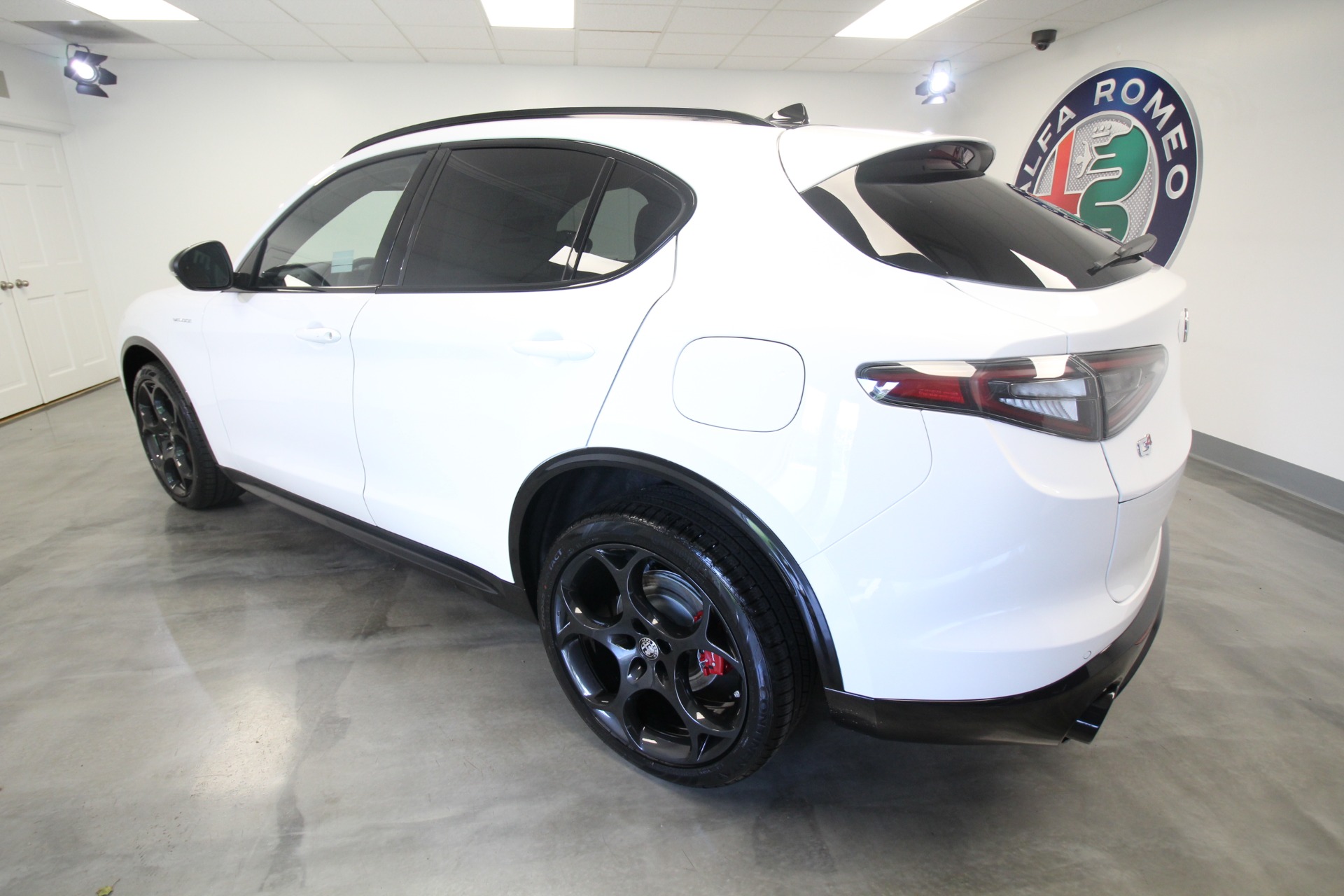 New 2024 Alfa Romeo STELVIO | St. Petersburg, FL