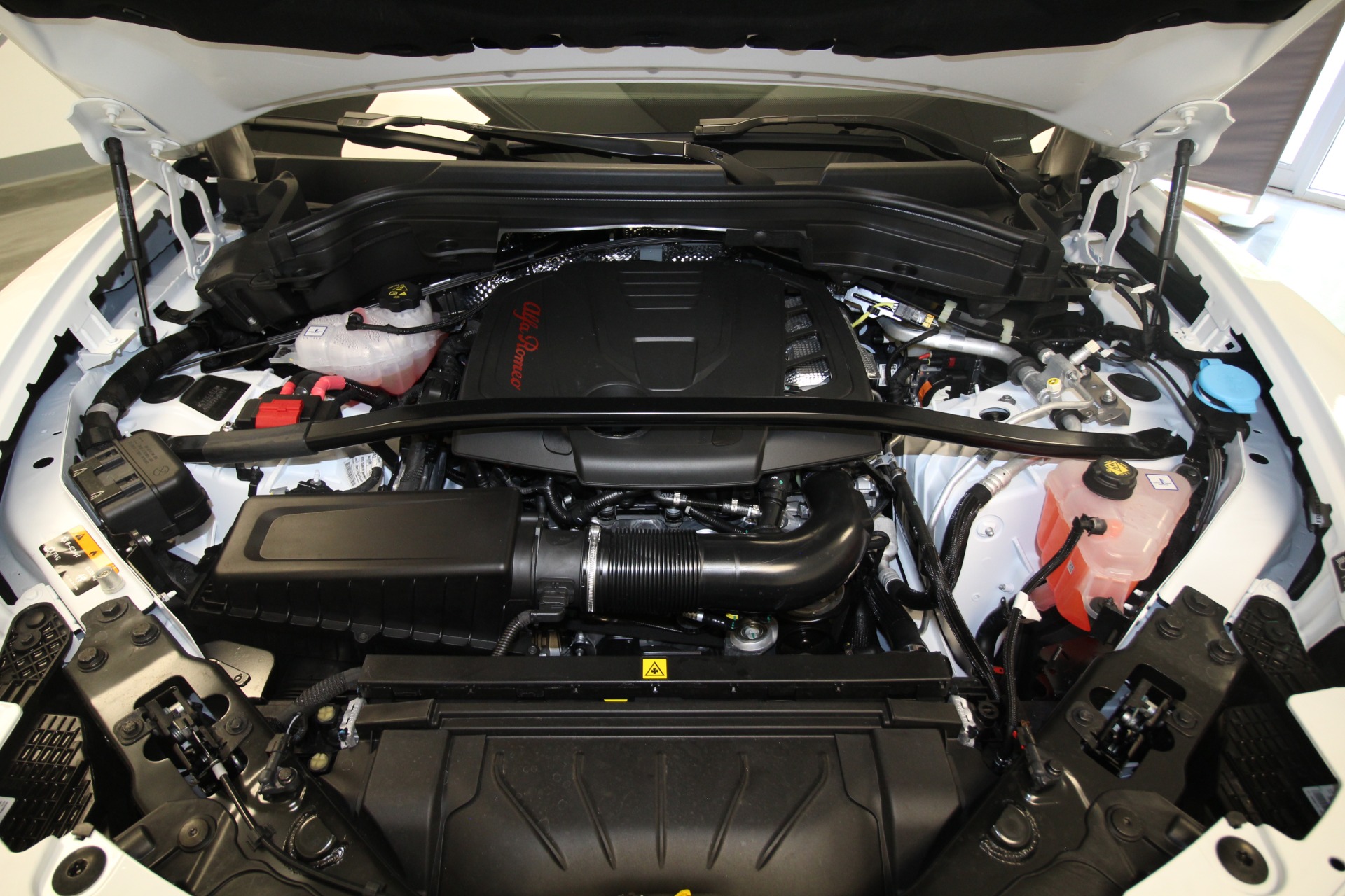 New 2024 Alfa Romeo STELVIO | St. Petersburg, FL