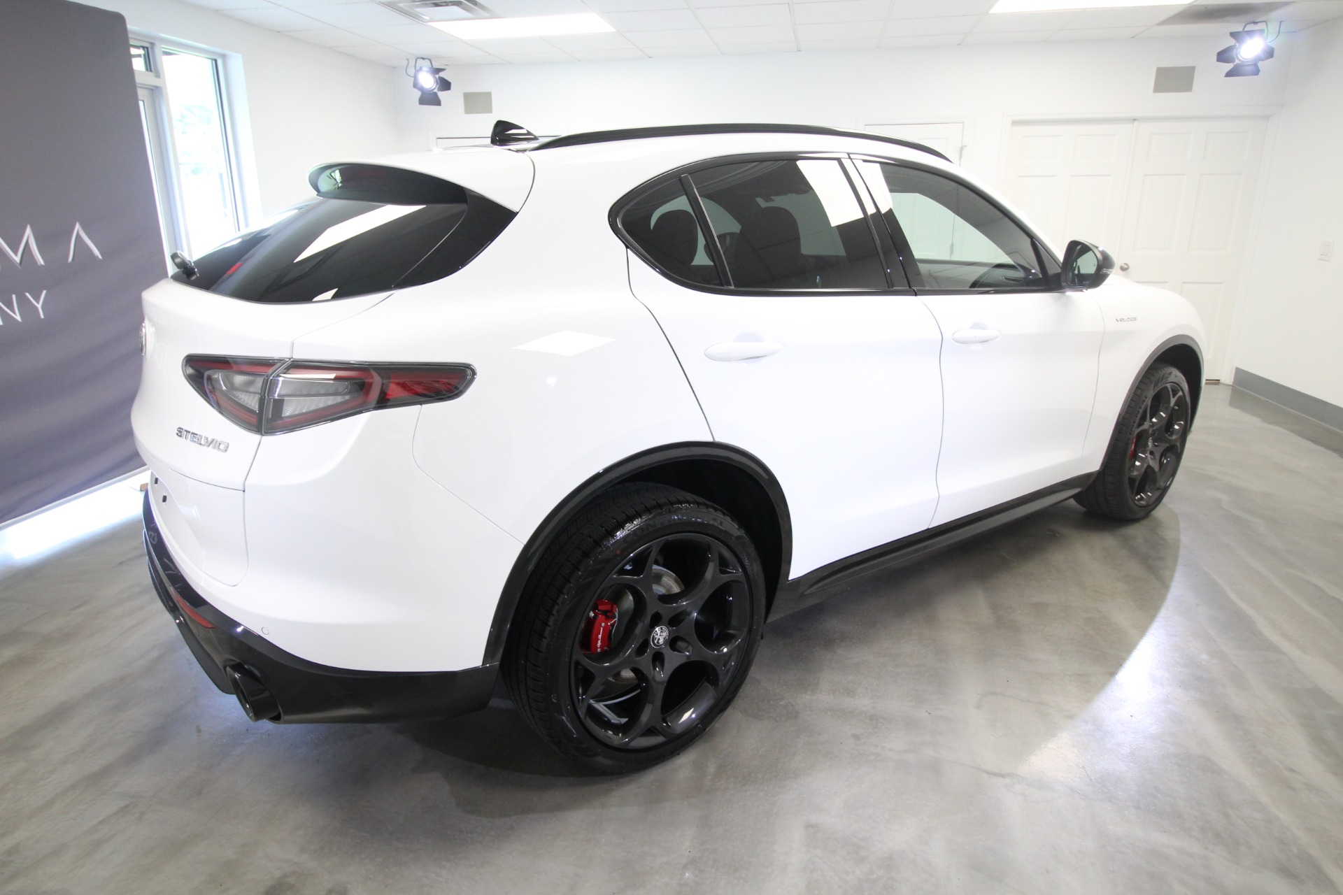 New 2024 Alfa Romeo STELVIO | St. Petersburg, FL