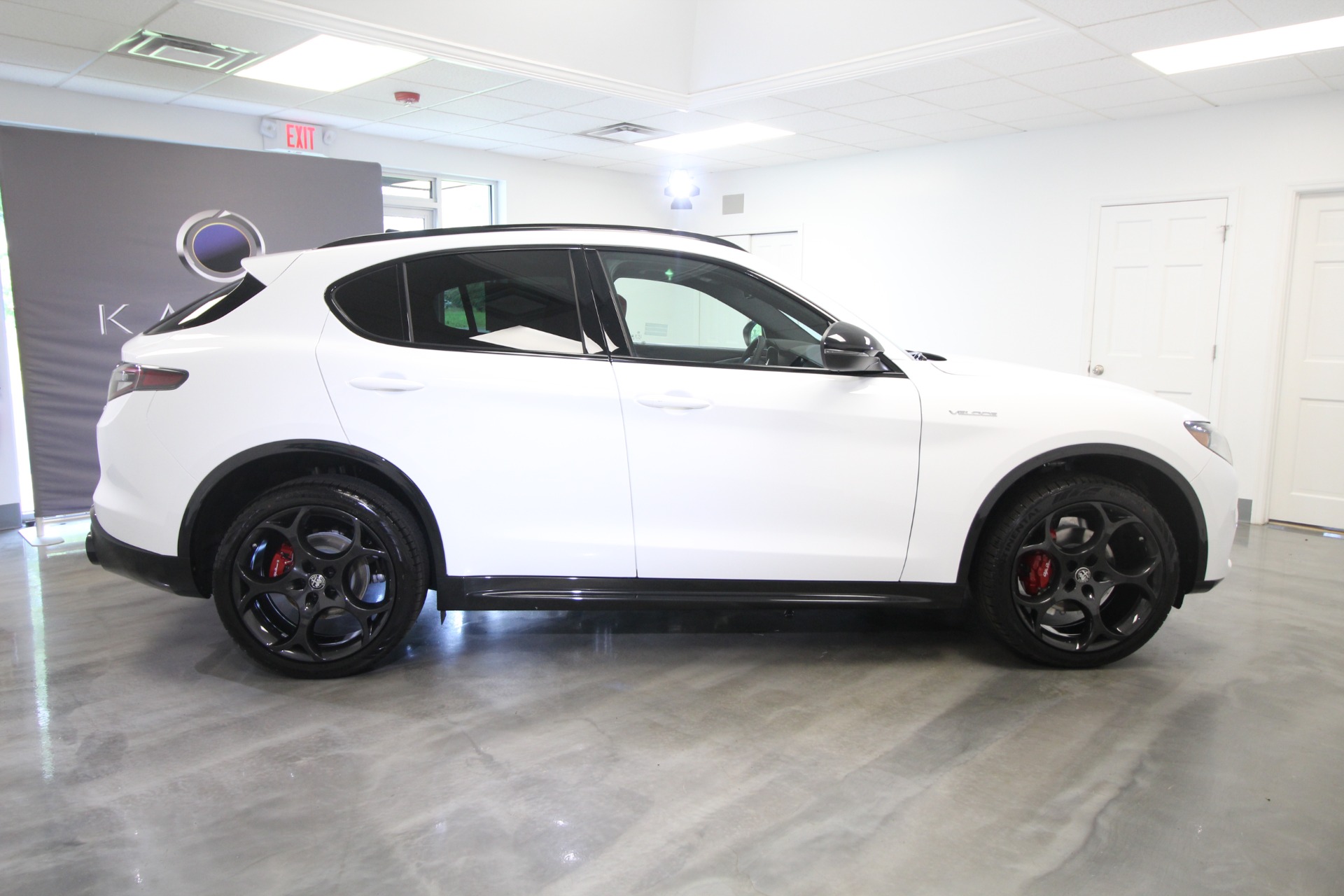 New 2024 Alfa Romeo STELVIO | St. Petersburg, FL
