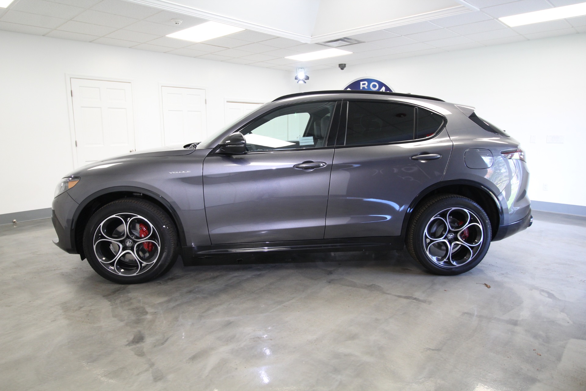 New 2024 Alfa Romeo STELVIO | St. Petersburg, FL
