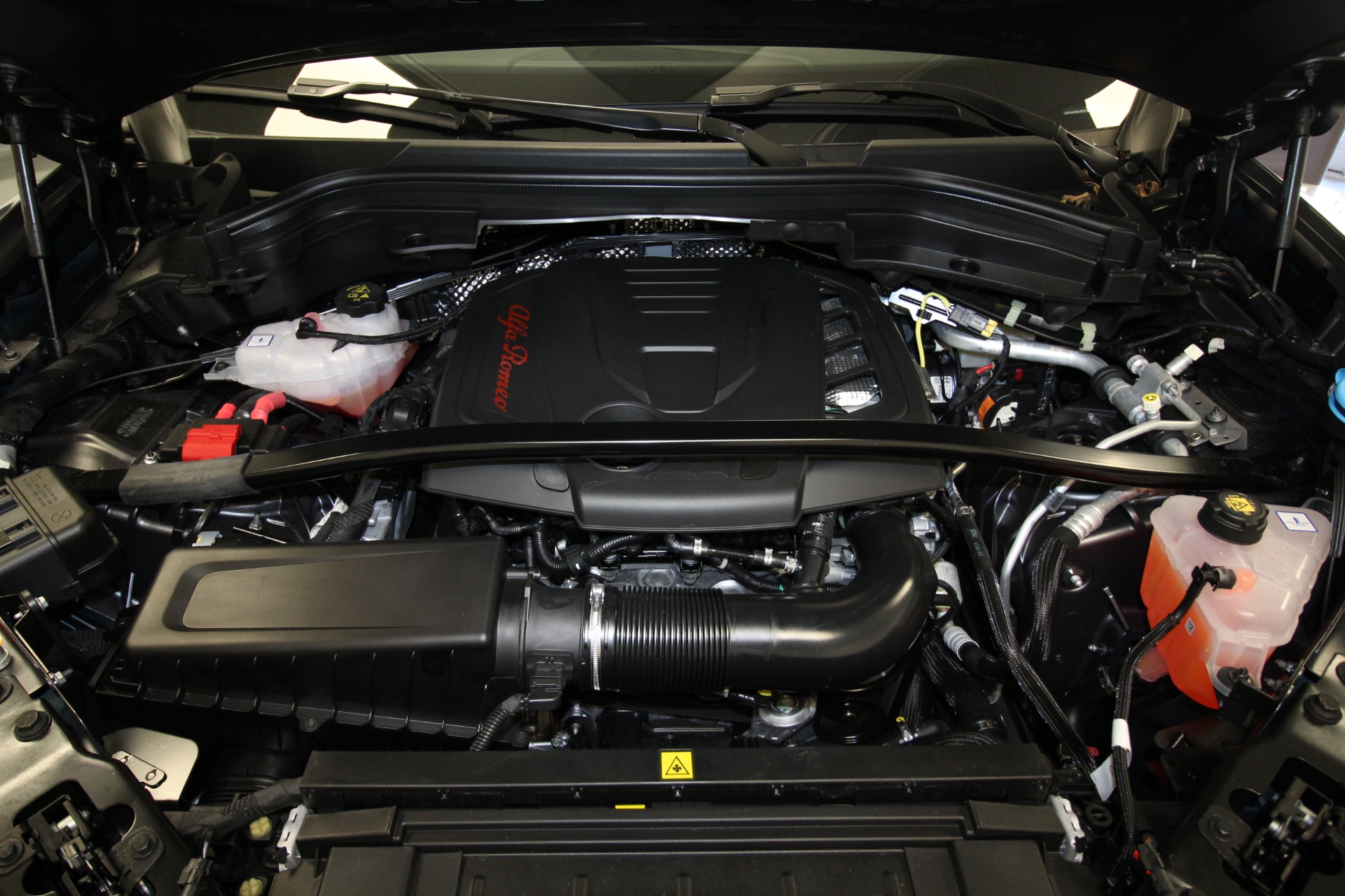 New 2024 Alfa Romeo STELVIO | St. Petersburg, FL