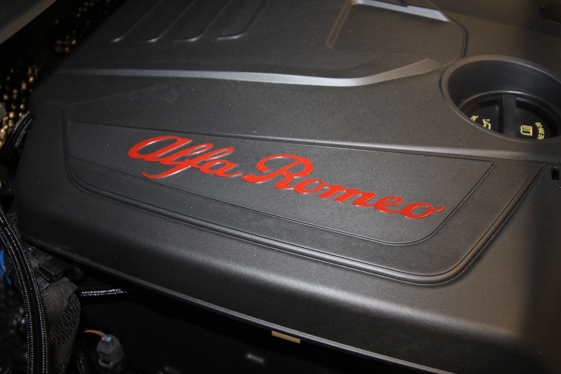 New 2024 Alfa Romeo STELVIO | St. Petersburg, FL