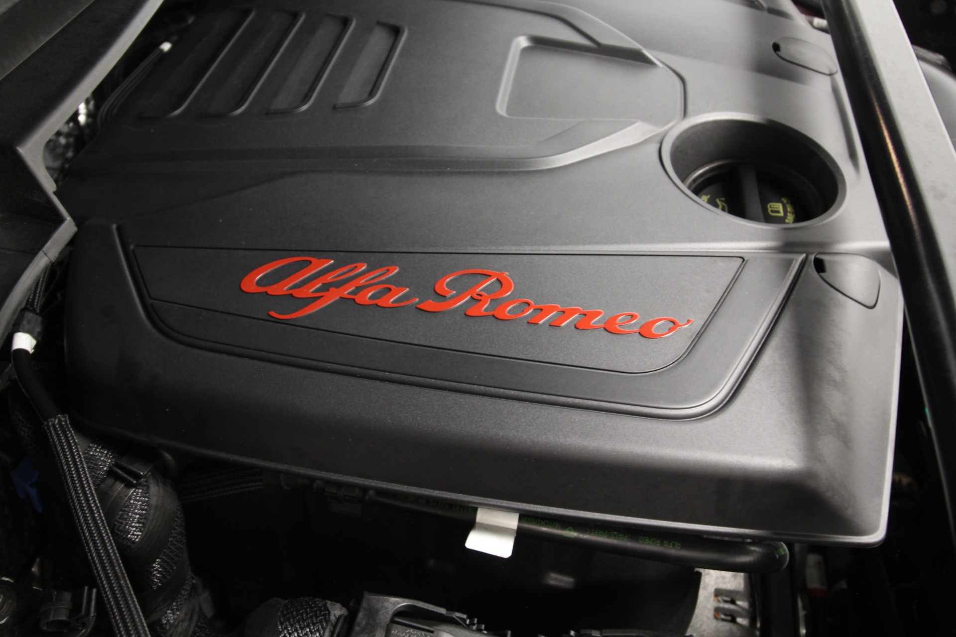 Used 2020 Alfa Romeo STELVIO | St. Petersburg, FL
