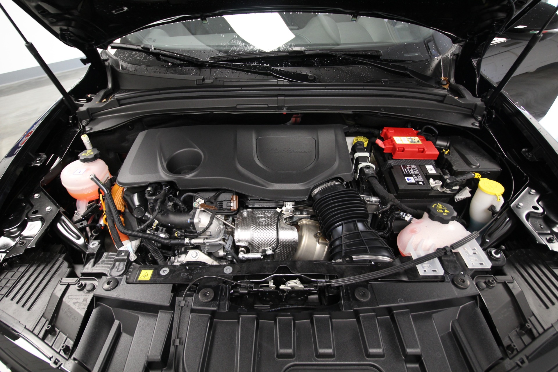 New 2024 Alfa Romeo TONALE Ti | St. Petersburg, FL
