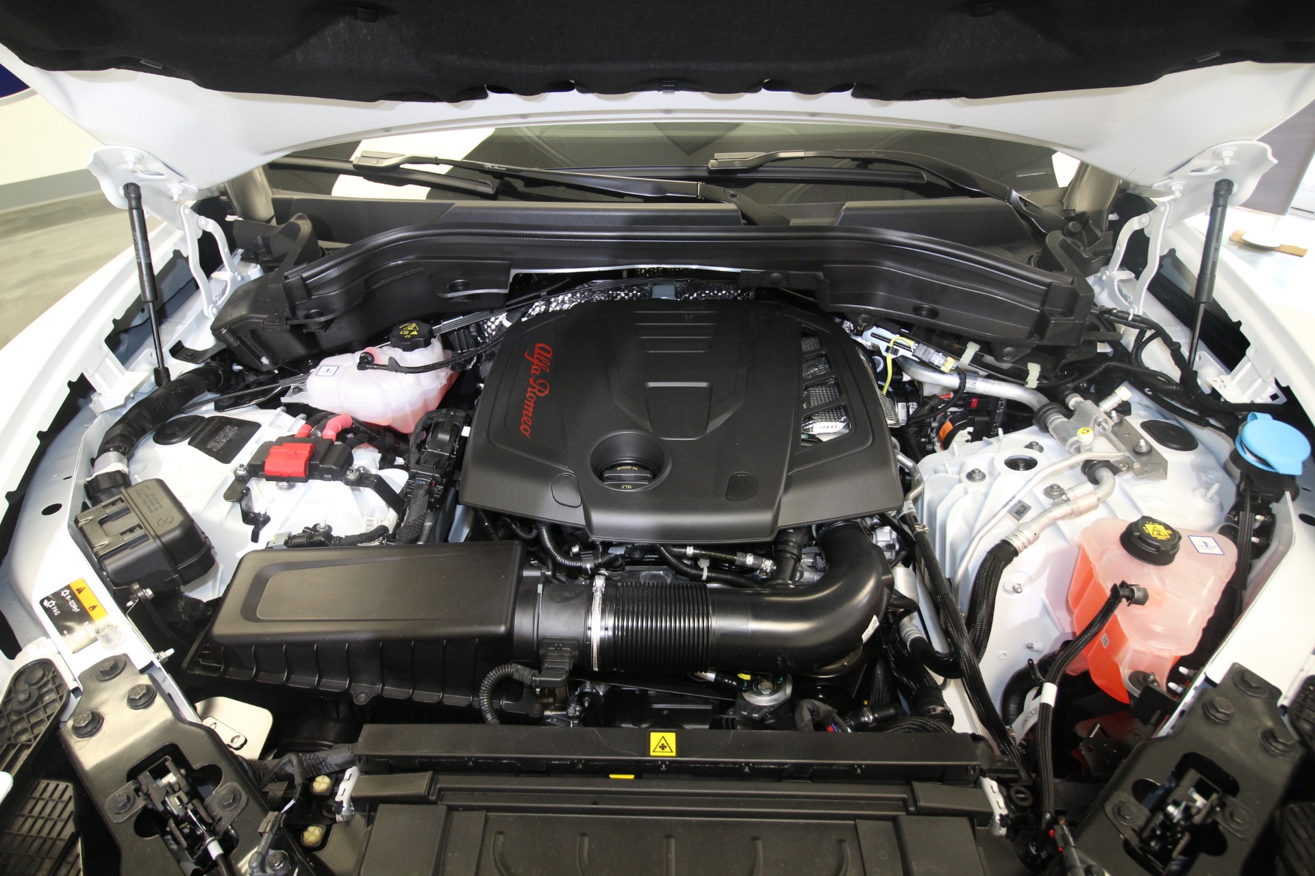 New 2024 Alfa Romeo STELVIO Sprint | St. Petersburg, FL
