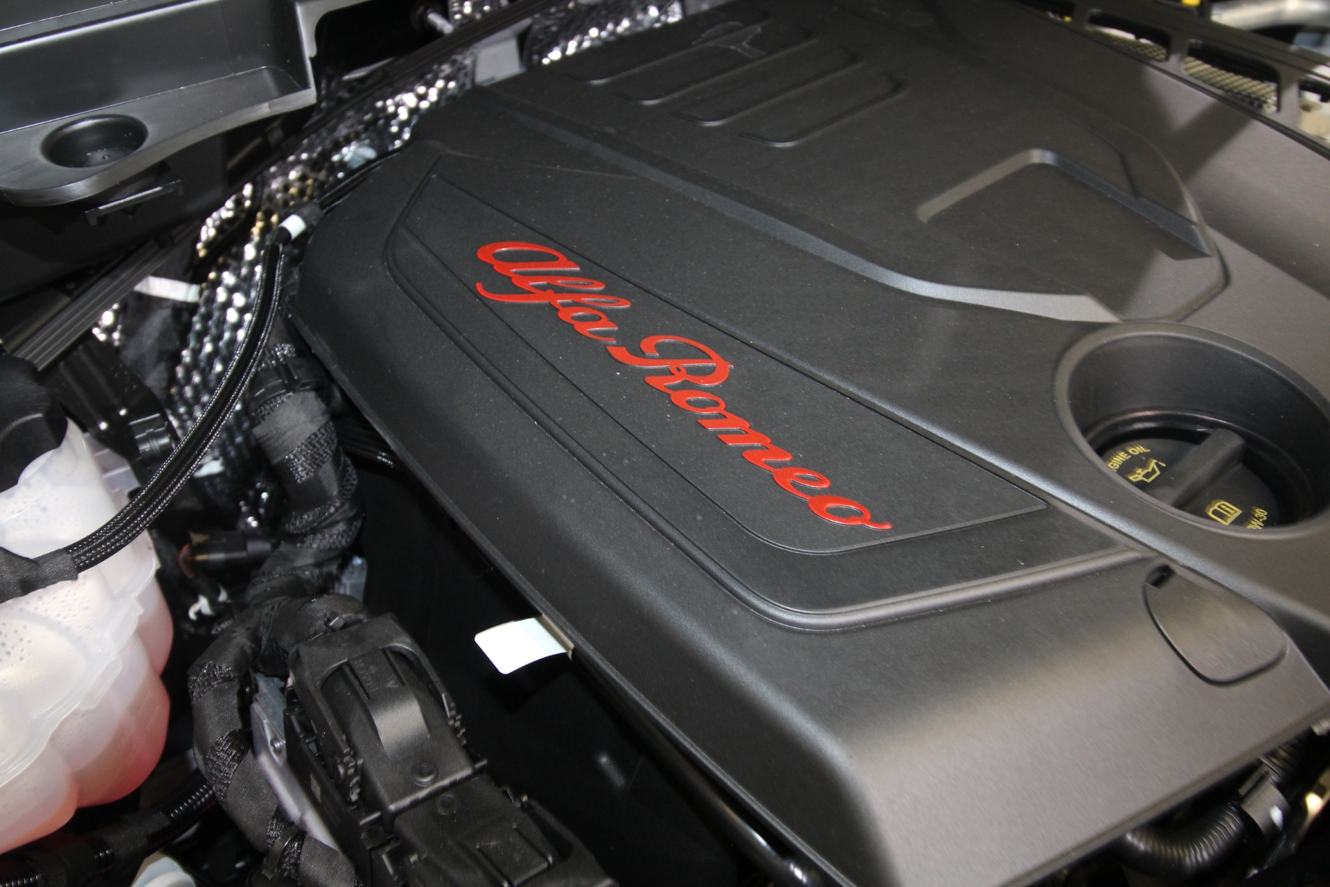New 2024 Alfa Romeo STELVIO Sprint | St. Petersburg, FL
