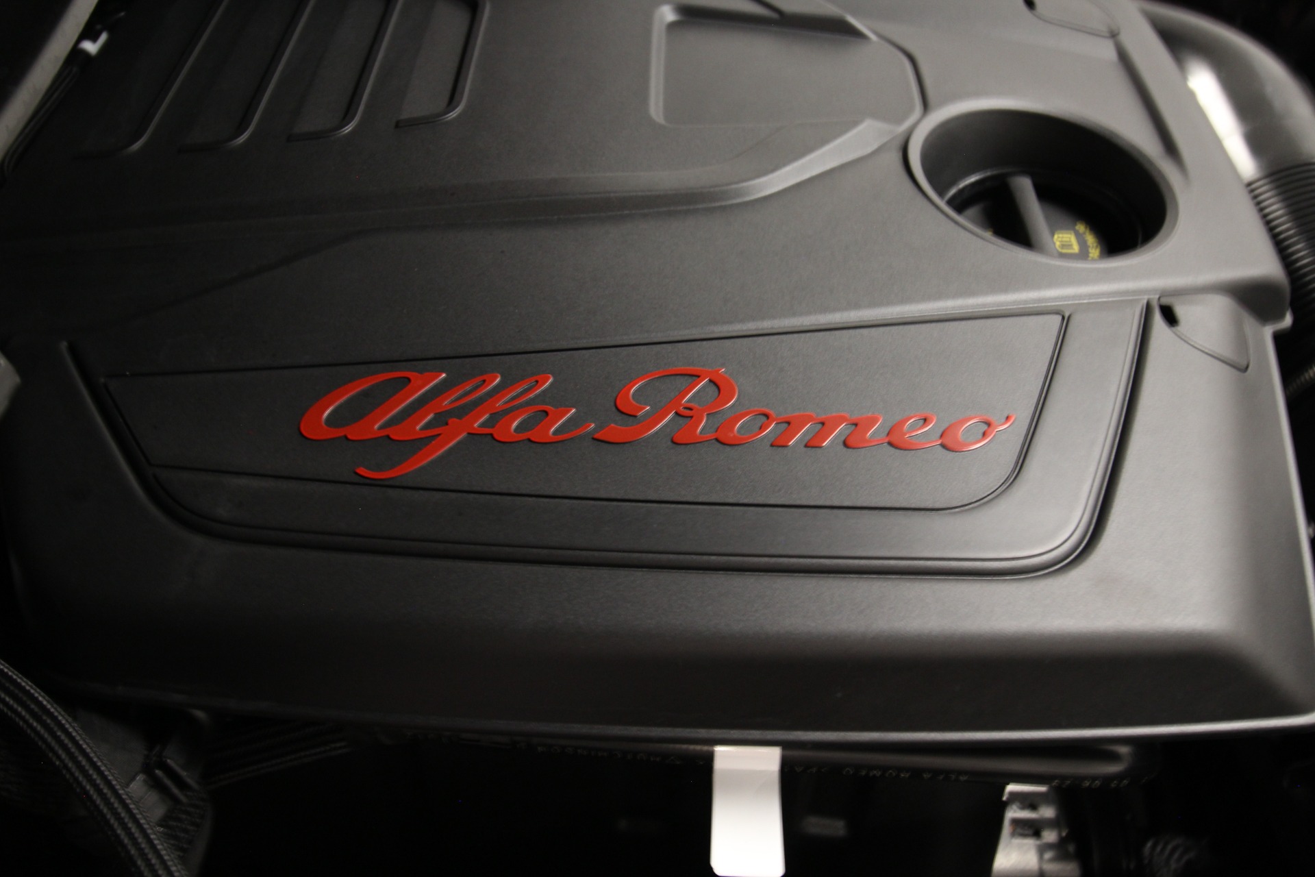 New 2024 Alfa Romeo STELVIO Sprint | St. Petersburg, FL