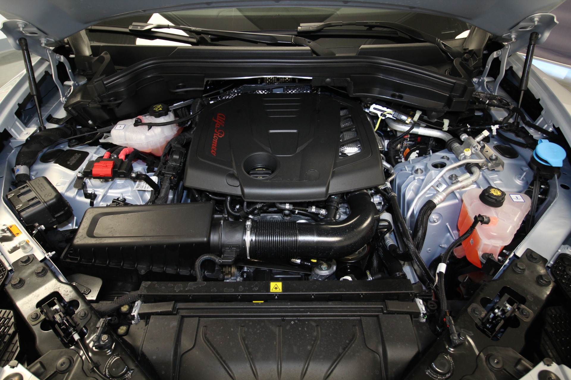 New 2024 Alfa Romeo STELVIO | St. Petersburg, FL