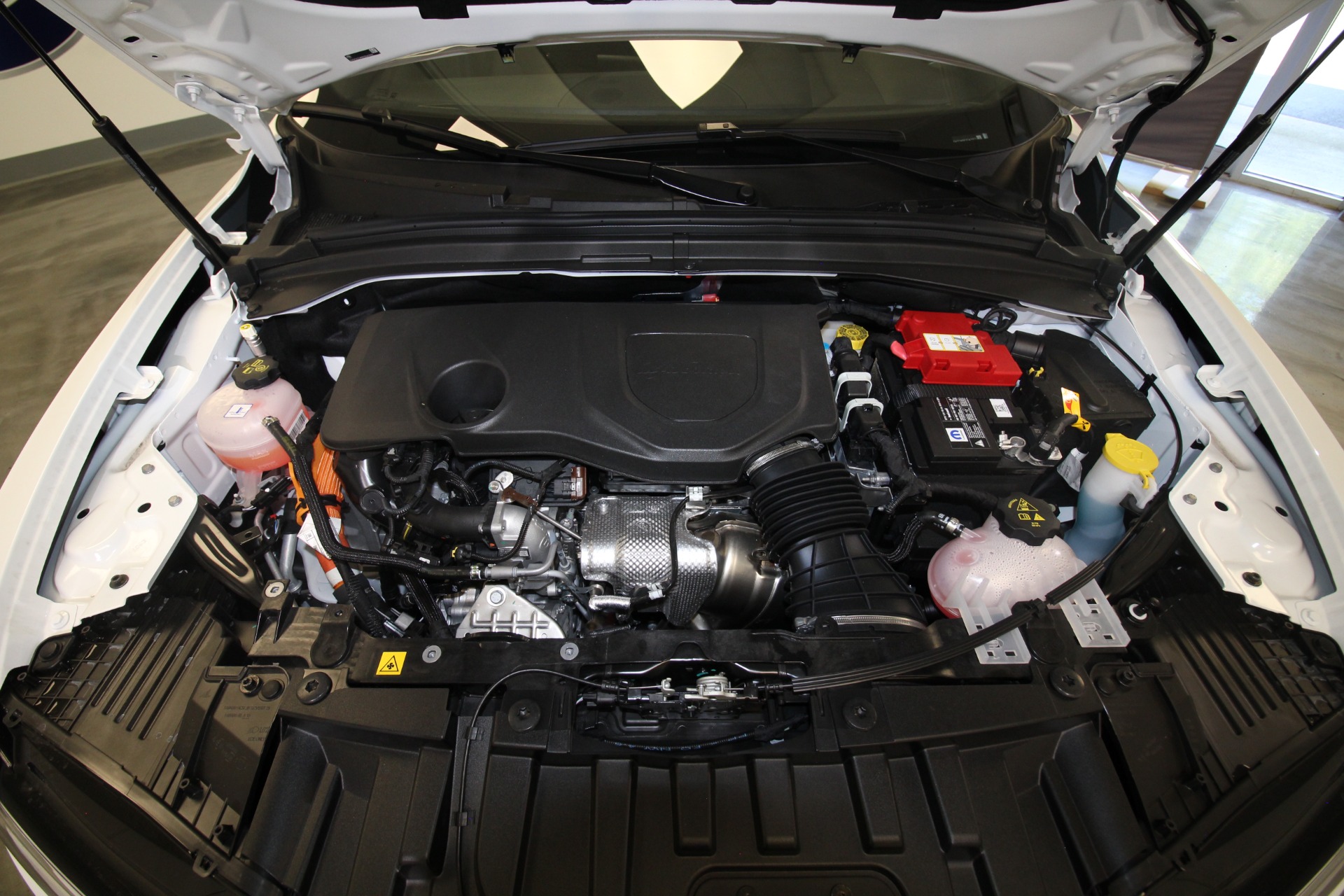 New 2024 Alfa Romeo TONALE Ti | St. Petersburg, FL
