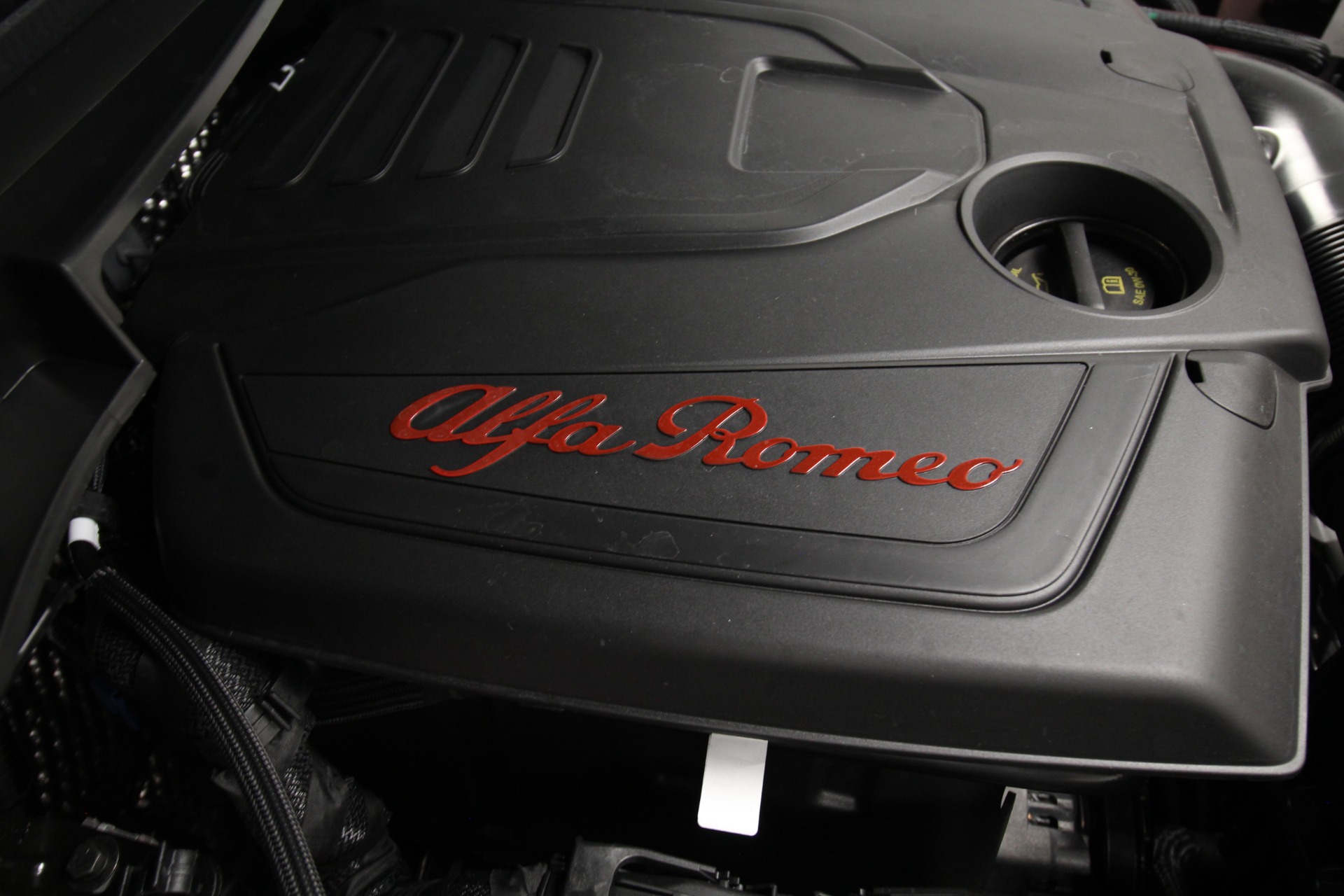 New 2024 GRAY Alfa Romeo STELVIO  | Albany, NY