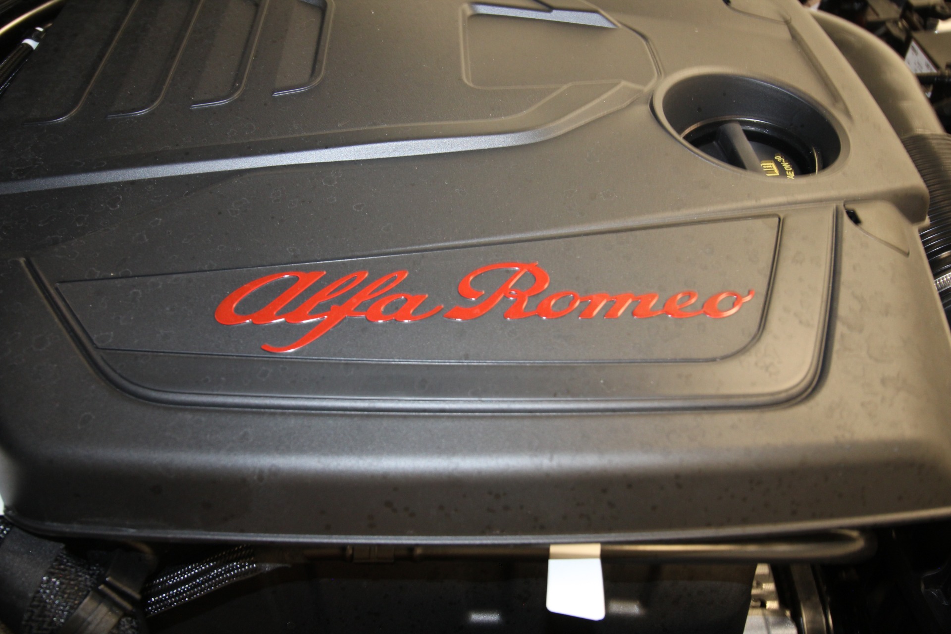 New 2024 GRAY Alfa Romeo GIULIA  | Albany, NY