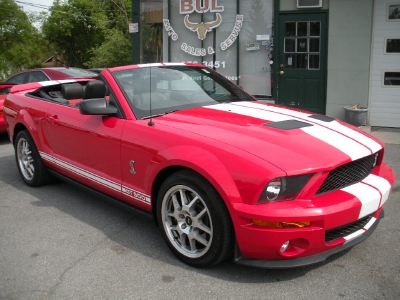 Used 2007 Ford Shelby GT500-Albany, NY